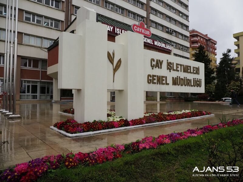 ÇAYKUR’A BAŞVURULAR BAŞLIYOR